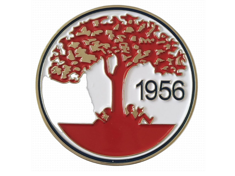 60mm&nbsp;enamel&nbsp;medal-2