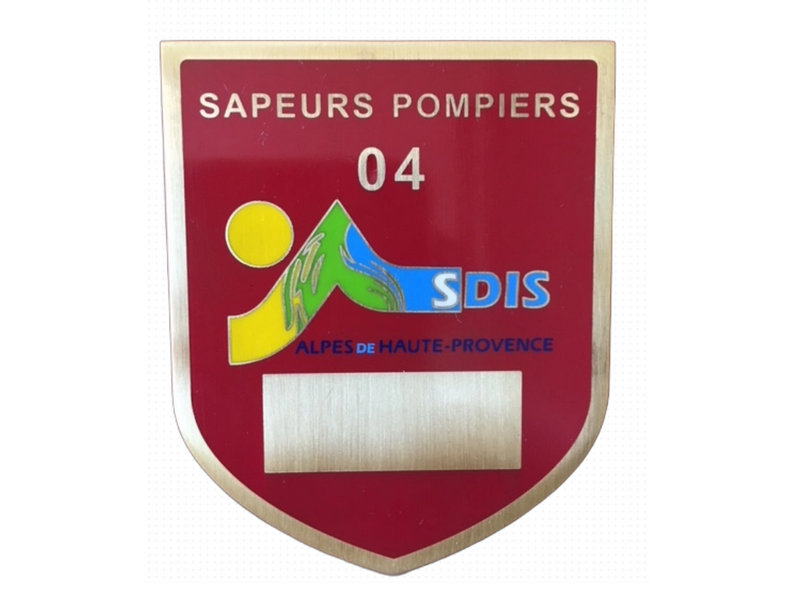 cloisonne&nbsp;medal-2